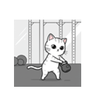 かわいいジム猫トレーニングスタンプ（個別スタンプ：20）