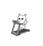 かわいいジム猫トレーニングスタンプ（個別スタンプ：22）