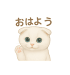 白猫スコティッシュホールドのあいさつ（個別スタンプ：1）