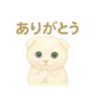 白猫スコティッシュホールドのあいさつ（個別スタンプ：3）