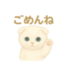 白猫スコティッシュホールドのあいさつ（個別スタンプ：4）