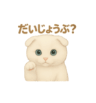 白猫スコティッシュホールドのあいさつ（個別スタンプ：6）
