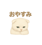 白猫スコティッシュホールドのあいさつ（個別スタンプ：8）