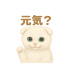 白猫スコティッシュホールドのあいさつ（個別スタンプ：11）