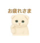 白猫スコティッシュホールドのあいさつ（個別スタンプ：15）