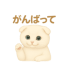 白猫スコティッシュホールドのあいさつ（個別スタンプ：16）