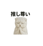 スコティッシュホールド猫のお祈りスタンプ（個別スタンプ：10）