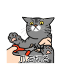 猫あるある（サバ猫／短毛）（個別スタンプ：11）