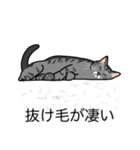 猫あるある（サバ猫／短毛）（個別スタンプ：13）