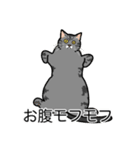 猫あるある（サバ猫／短毛）（個別スタンプ：14）