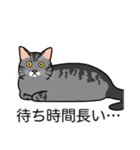 猫あるある（サバ猫／短毛）（個別スタンプ：22）