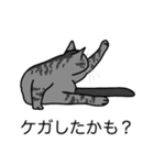 猫あるある（サバ猫／短毛）（個別スタンプ：34）