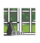猫あるある（サバ猫／短毛）（個別スタンプ：40）