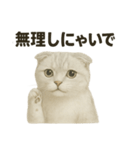 そっと祈る猫のスコティッシュホールド（個別スタンプ：2）