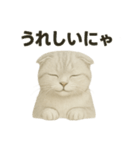 そっと祈る猫のスコティッシュホールド（個別スタンプ：4）
