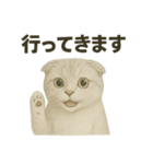 そっと祈る猫のスコティッシュホールド（個別スタンプ：9）