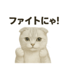 そっと祈る猫のスコティッシュホールド（個別スタンプ：10）