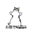 猫あるある（ハチワレサバ猫／短毛）（個別スタンプ：14）