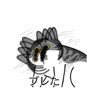 猫あるある（ハチワレサバ猫／短毛）（個別スタンプ：26）