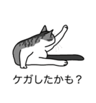 猫あるある（ハチワレサバ猫／短毛）（個別スタンプ：34）