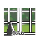 猫あるある（ハチワレサバ猫／短毛）（個別スタンプ：40）