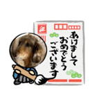 ミニチュアダックスジョナスくん2（個別スタンプ：30）