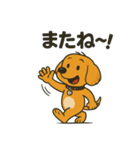 柴ビー犬のカイくん（個別スタンプ：3）