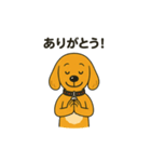柴ビー犬のカイくん（個別スタンプ：4）