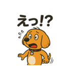 柴ビー犬のカイくん（個別スタンプ：5）