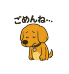 柴ビー犬のカイくん（個別スタンプ：7）