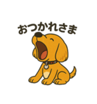 柴ビー犬のカイくん（個別スタンプ：8）