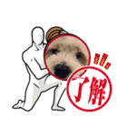犬の可愛さ詰め込みスタンプ（個別スタンプ：6）