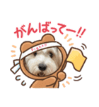 犬の可愛さ詰め込みスタンプ（個別スタンプ：7）