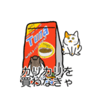 猫あるある（ぶち猫（白茶）／短毛）（個別スタンプ：1）
