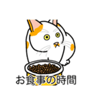 猫あるある（ぶち猫（白茶）／短毛）（個別スタンプ：3）