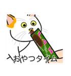 猫あるある（ぶち猫（白茶）／短毛）（個別スタンプ：4）