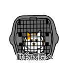 猫あるある（ぶち猫（白茶）／短毛）（個別スタンプ：8）