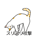 猫あるある（ぶち猫（白茶）／短毛）（個別スタンプ：15）