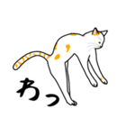 猫あるある（ぶち猫（白茶）／短毛）（個別スタンプ：21）