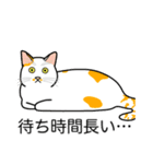 猫あるある（ぶち猫（白茶）／短毛）（個別スタンプ：22）