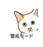 猫あるある（ぶち猫（白茶）／短毛）（個別スタンプ：23）