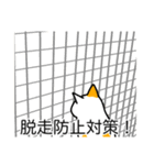 猫あるある（ぶち猫（白茶）／短毛）（個別スタンプ：27）