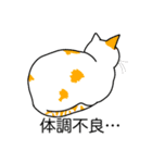 猫あるある（ぶち猫（白茶）／短毛）（個別スタンプ：31）