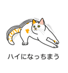 猫あるある（ぶち猫（白茶）／短毛）（個別スタンプ：38）