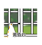 猫あるある（ぶち猫（白茶）／短毛）（個別スタンプ：40）