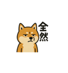 まいにち柴犬くん4（個別スタンプ：3）