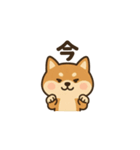 まいにち柴犬くん4（個別スタンプ：5）