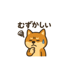 まいにち柴犬くん4（個別スタンプ：6）