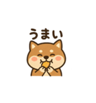 まいにち柴犬くん4（個別スタンプ：8）