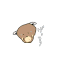 レッサーパンダのきもち2（個別スタンプ：21）